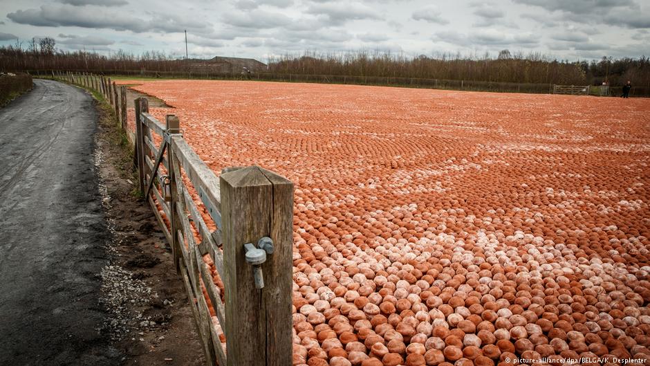 Belgian artinstallations