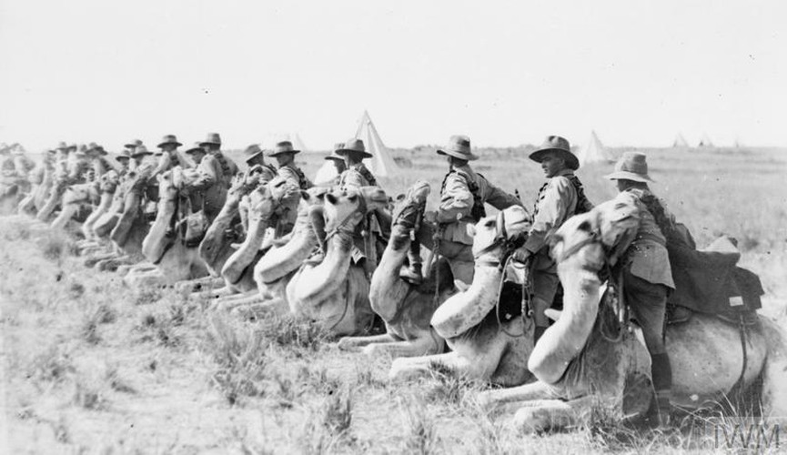 Camelcorps2