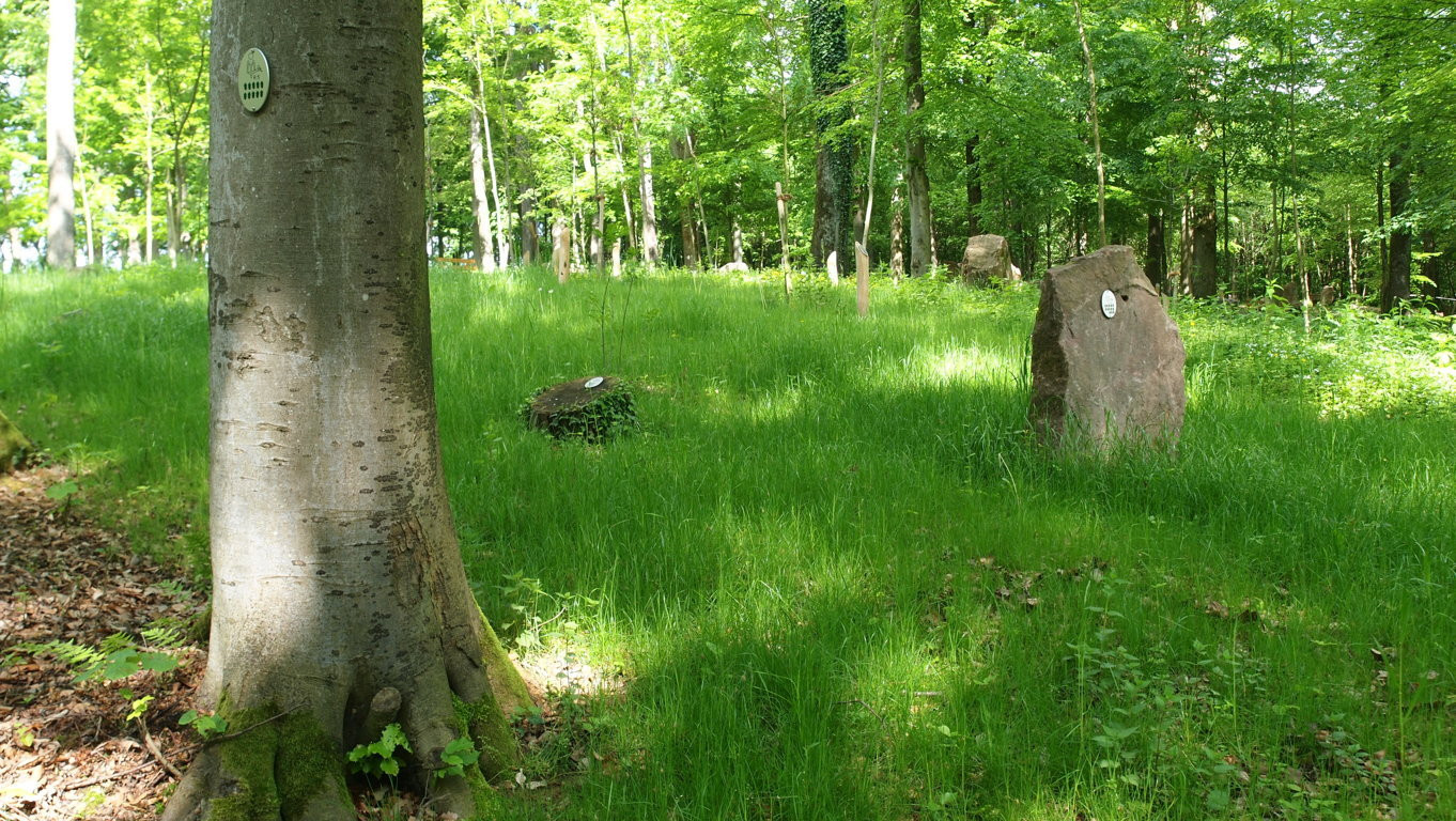 Natureplaques