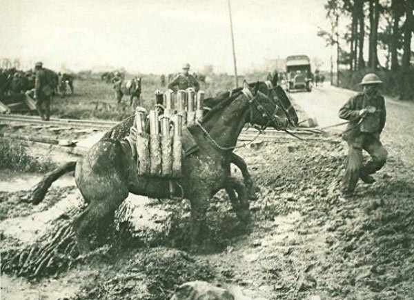 ammo WW1 flanders
