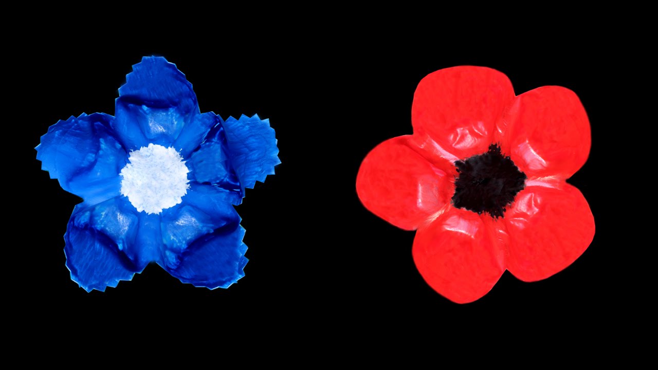poppybleuet