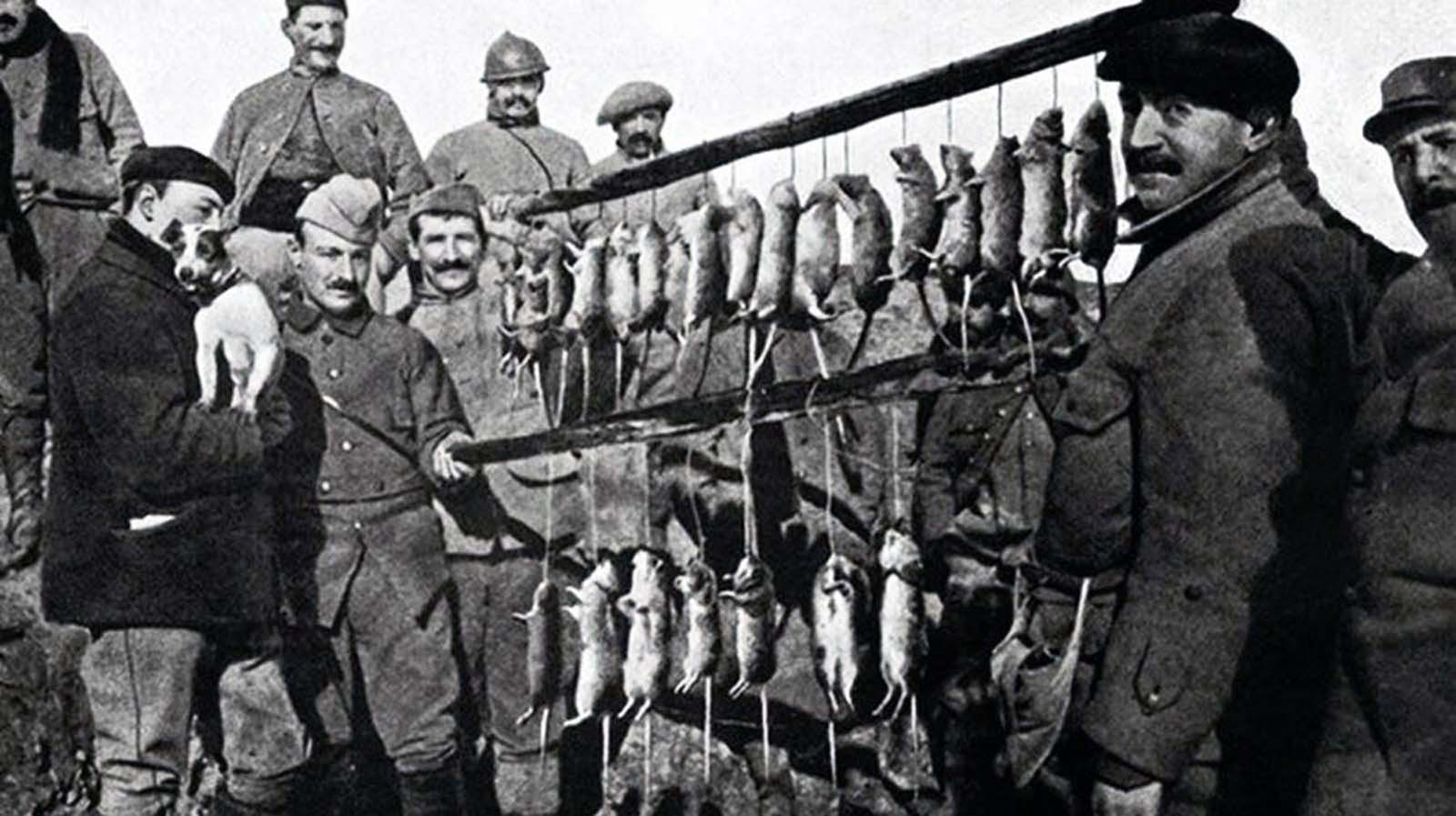 trench rats 4