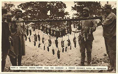 trenchrats2
