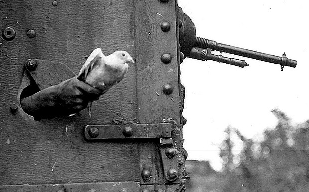 ww1 pigeon tank 2788228b